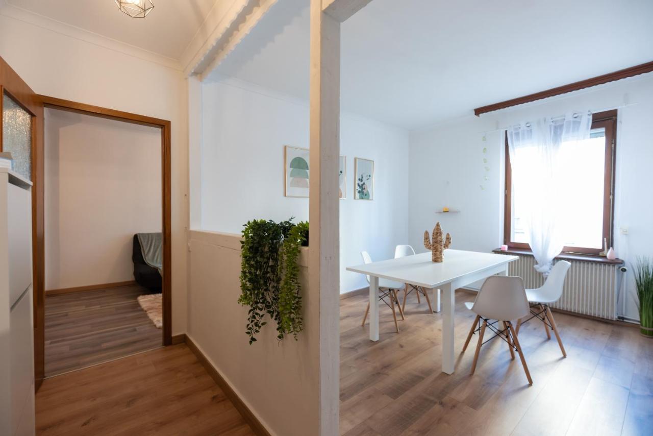 Appartement Cosy De 80 M2 Mulhouse Esterno foto